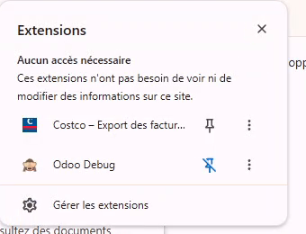 Épinglez l'icône
