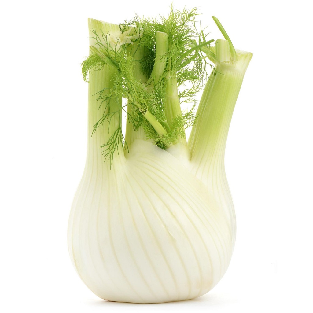 Fenouil Vendu individuellement