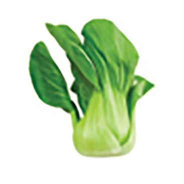 San J Shanghai Baby Bok Choy Jr, vendu en vrac, 1 sac, 0.45 - 0.70 KG