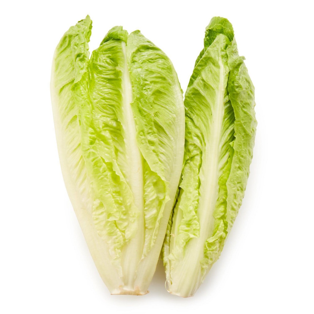 Laitue romaine (vendue individuellement) Vendu individuellement