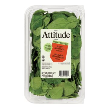 Attitude Fraîche Jeunes épinards biologiques