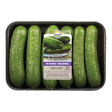 Mini concombres biologiques