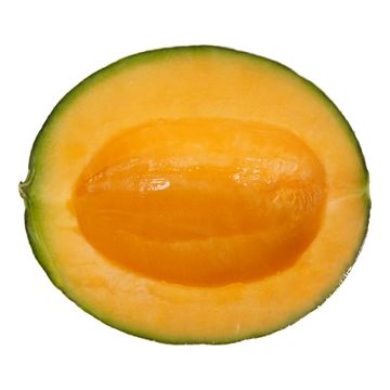 metrogo! Demi cantaloup