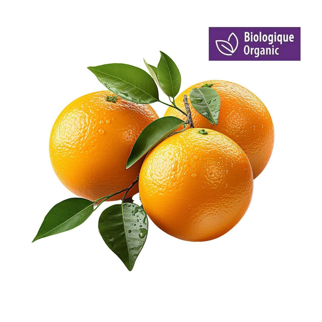 Oranges biologiques Mon marché fraîcheur, Entiers, Frais, KHBV53
