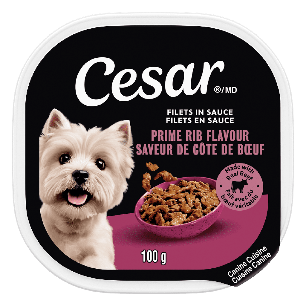 Nourriture humide pour chiens CESAR filets en sauce saveur de côte de bœuf