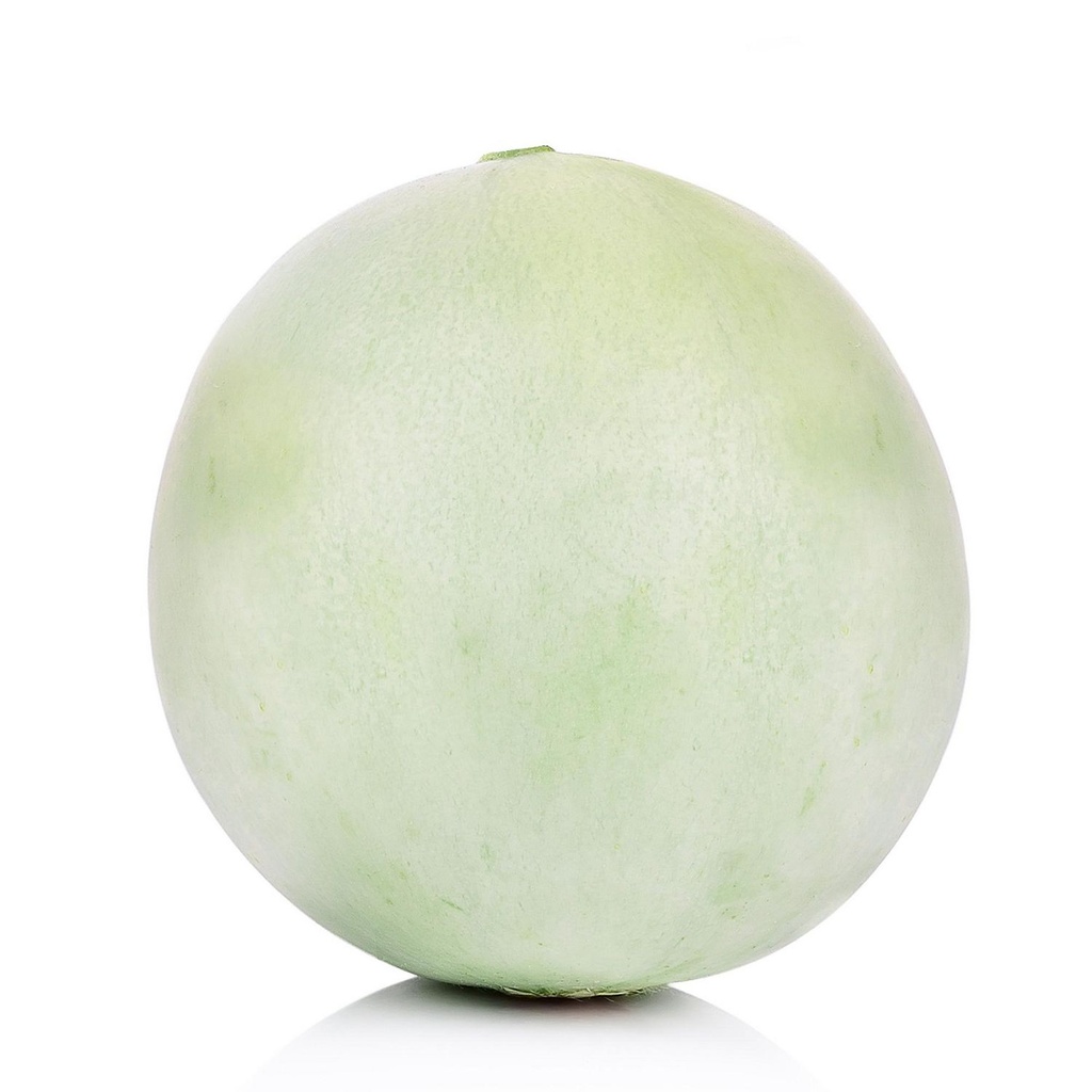 Melon Honeydew Vendu individuellement