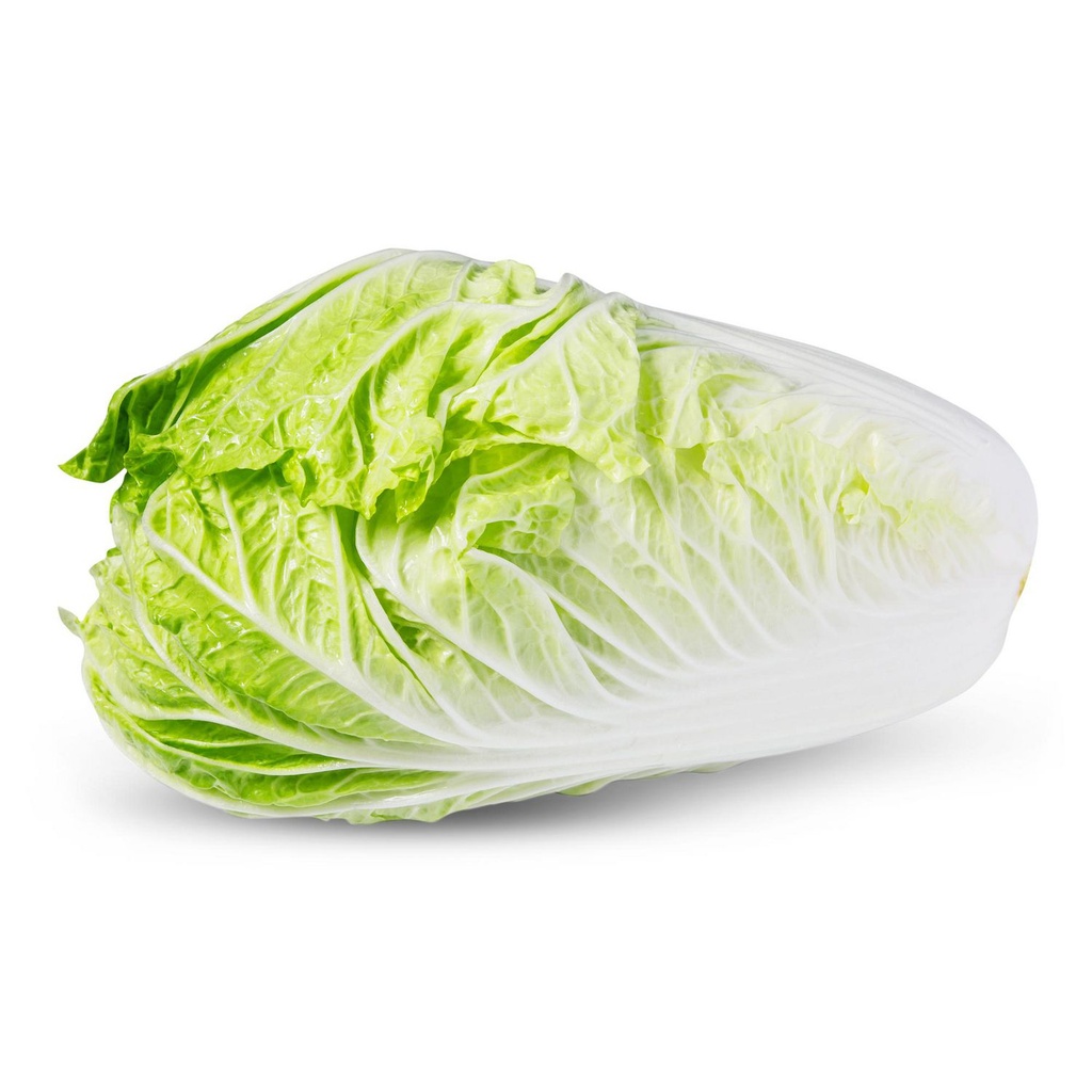 Chou Napa, Vendue individuellement, 1.40 - 1.54 KG