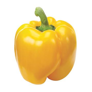 Poivron jaune de serre