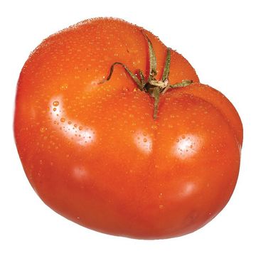 Tomates beefsteak biologiques