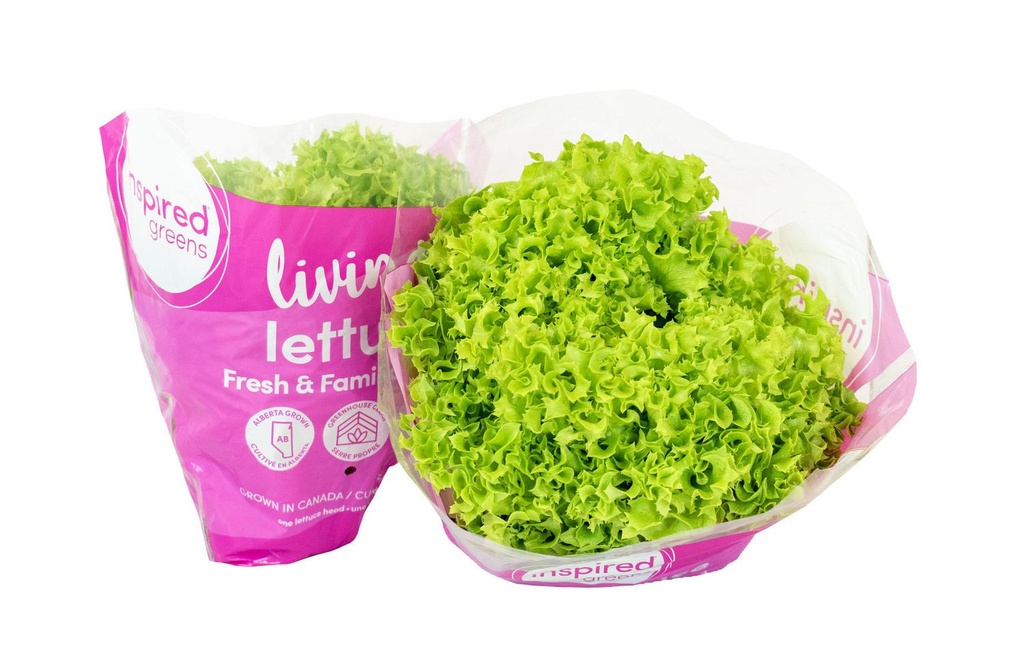 Inspired Greens Living Lettuce Fresh & Familiar Green Living Lettuce Green