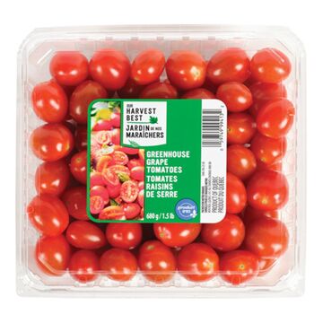 Tomates raisins de serre