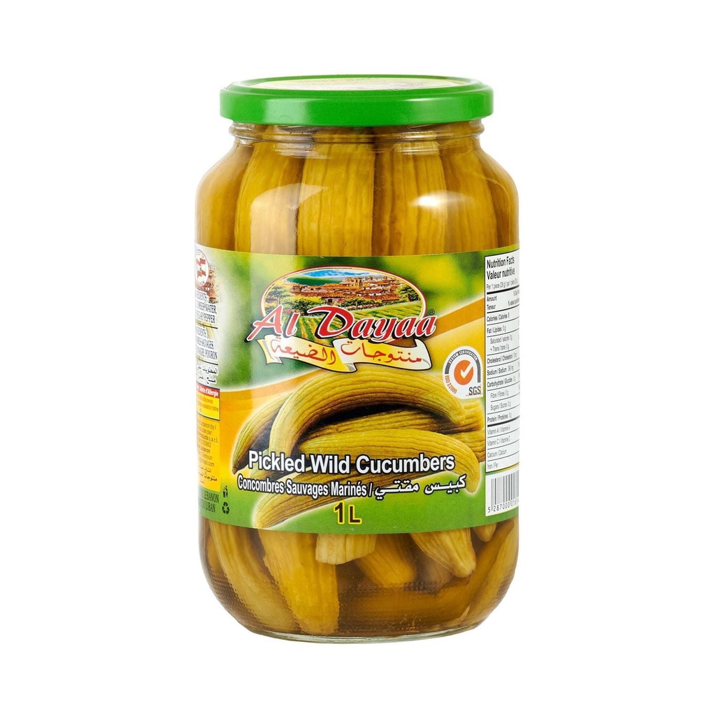 Al Dayaa Concombres Sauvages Marinés