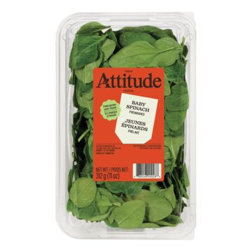 Attitude Fraîche Jeunes épinards