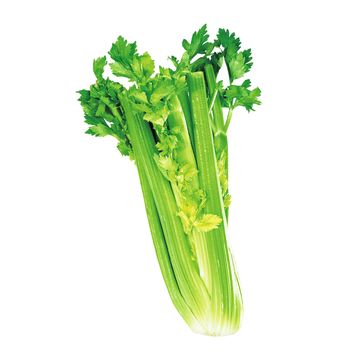 Céleri biologique
