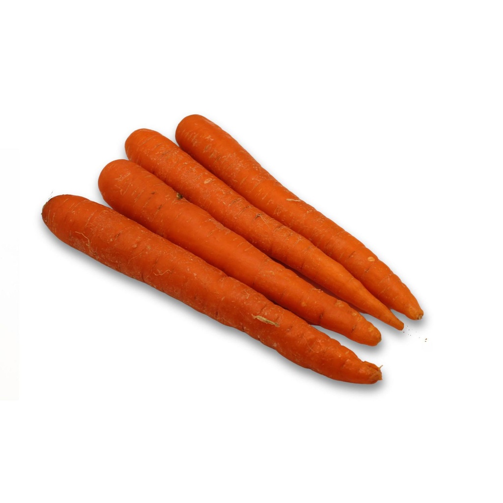 Carottes Vendu en botte
