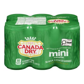 Canada Dry Boisson gazeuse à saveur de gingembre