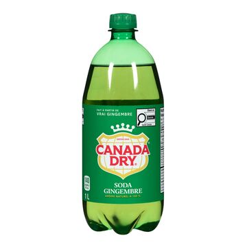 Canada Dry Boisson gazeuse à saveur de gingembre