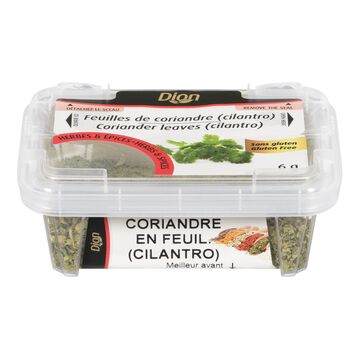 Feuilles de coriandre