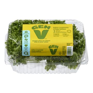 Gen V Laitue frisée verte