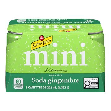 Schweppes Boisson gazeuse à saveur de gingembre