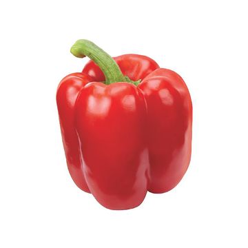 Poivron rouge de serre