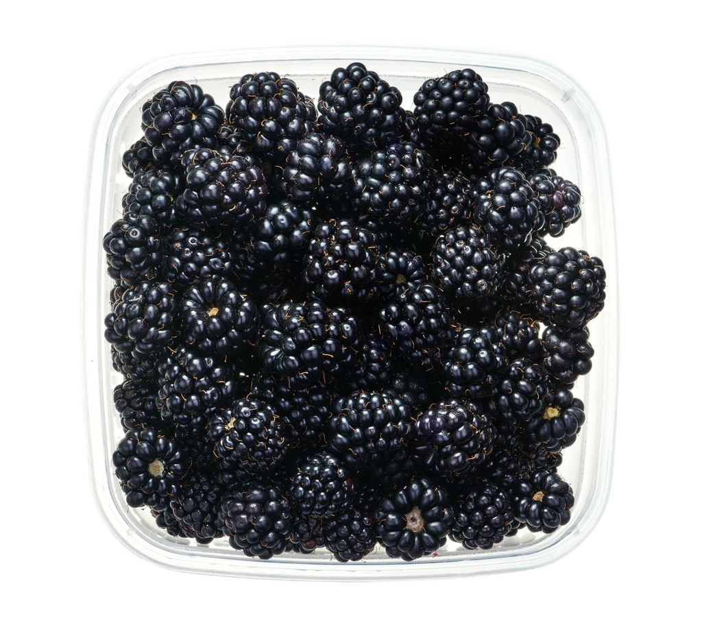 Mûres 170g