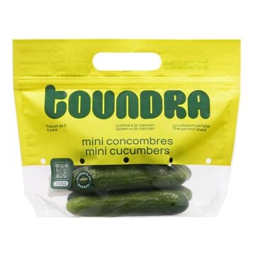 Sac de mini concombres