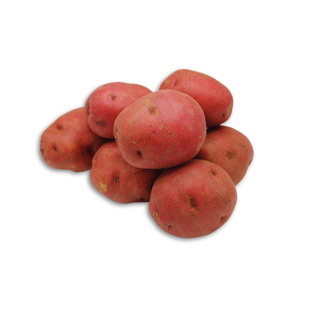 Pommes de terre rouges 10 lb
