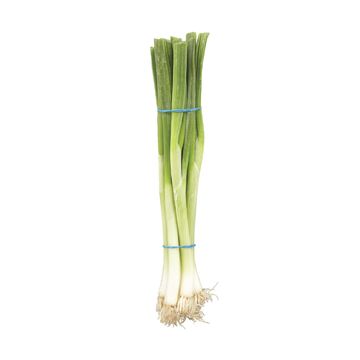 Oignons verts biologiques