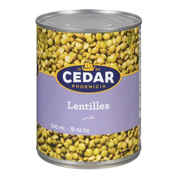 Cedar Phoenicia Lentilles