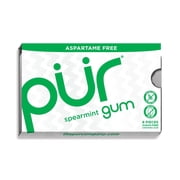 The PUR Company PUR Gum Chewing Gum Sans Sucre au Xylitol - Arôme Naturel de Menthe Verte - 9 Pièces